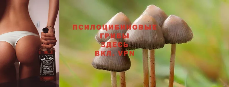 Псилоцибиновые грибы Magic Shrooms  Нижняя Тура 